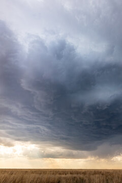 Impacts of Climate Change. El Ni&ntilde;o, the environment, rising global temperatures. Pollution and devastating storms featuring tornadoes and strong winds. Uncontrolled weather. Vertical