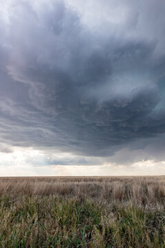 Impacts of Climate Change. El Ni&ntilde;o, the environment, rising global temperatures. Pollution and devastating storms featuring tornadoes and strong winds. Uncontrolled weather. Vertical