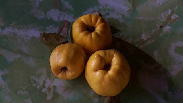 Top view of three ripe yellow quinces with dry leaves on a green textured marbled surface, slow motion horizontal video.