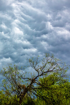 Impacts of Climate Change. El Ni&ntilde;o, the environment, rising global temperatures. Pollution and devastating storms featuring tornadoes and strong winds. Uncontrolled weather. Vertical