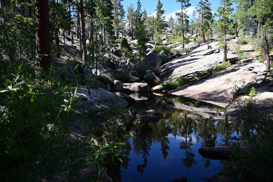 Jackass creek in California