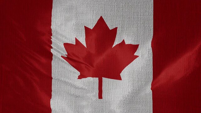 Canada Flag Animation With Fabric Texture Loop