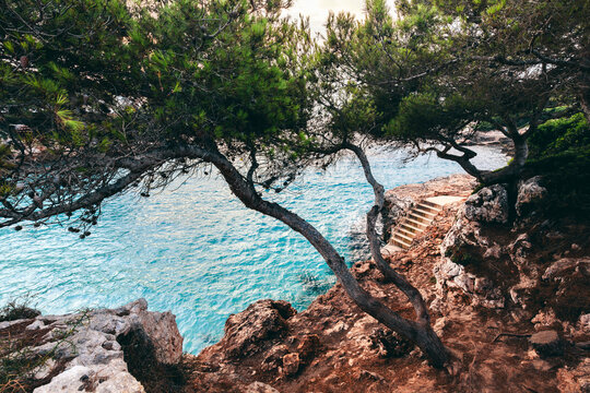 Pine framed cove view in scenic Cala d'Or, Mallorca, Spain.