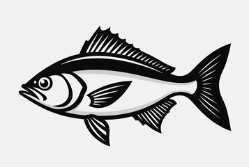 Fototapeta premium Detailed black and white illustration of a fish with prominent fins and scales in a clean graphic line art style for nature or fishing logos.