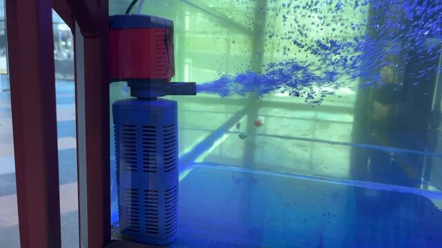 Aquarium filtration unit operating inside a fish tank with visible water circulation, fish keeping equipment, aquatic maintenance system.