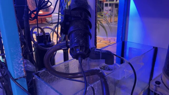 External aquarium canister filter with pump housing and connected hoses, fish tank filtration system, aquarium maintenance equipment.