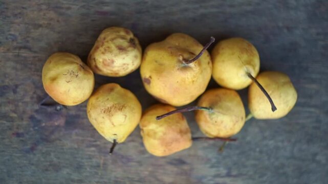 Top view of small yellow wild pears arranged on a rustic wooden table, slow motion horizontal video.
