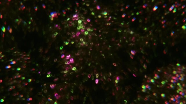 Blur twinkle disco. Glow light. Defocused purple blue yellow color lens illuminated glitter flicker motion on abstract creative optical dark black background.