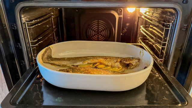 trout, cooked , fish, cooking, salmon