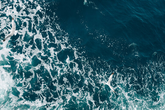 Natural abstract ocean background featuring vibrant turquoise water, energetic waves and delicate white sea foam.