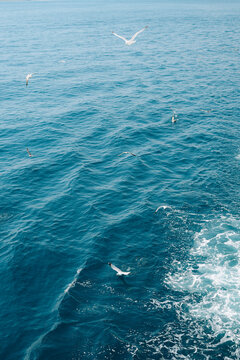 Vibrant turquoise sea with foamy waves forming an organic natural pattern, perfect as a water background.