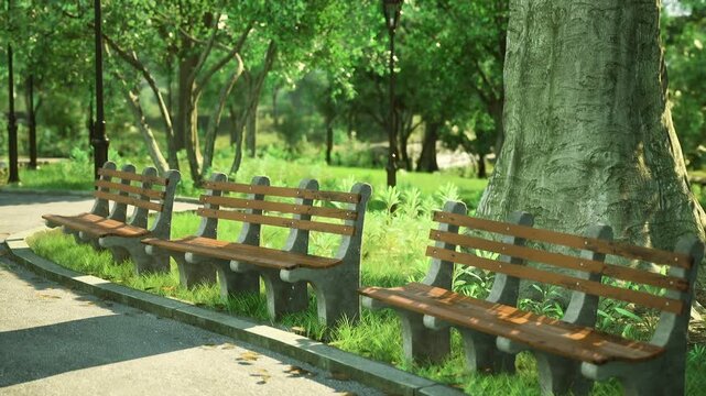 Sunlit wooden benches along path under leafy canopy, inviting resting spots, dappled light on timber seats, pebble walkway curving through park, peaceful midday