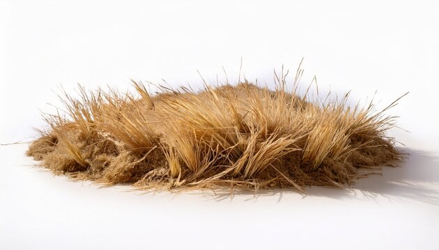 dry grass island on white background showing arid land patch with straw texture for desert landscape