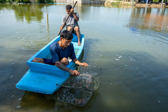 Asian fisherman pulling wire fish trap out of water from small blue boat. Traditional freshwater harvesting as a fisherman lifts a square trap cage out of the water beside his boat.