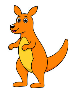 kangaroo cartoon illustration