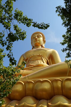 Visitors admire the Wat Paknam Big Buddha in Thailand while standing under the blue sky and trees