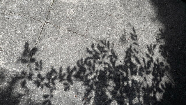 black and white texture