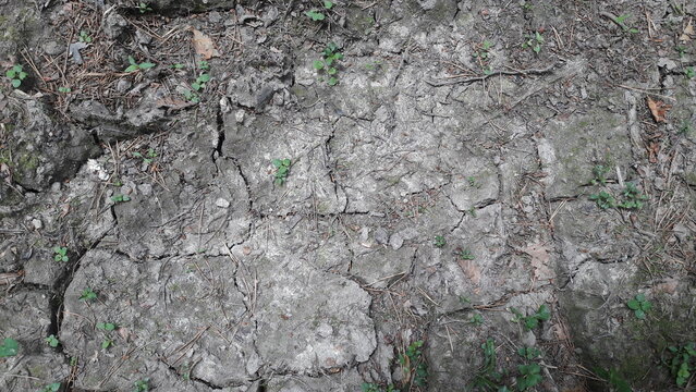 old stone wall