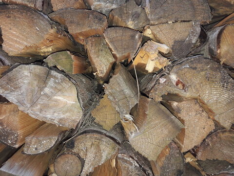 stack of firewood