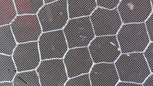 vector seamless pattern with dots