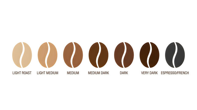 Coffee roast levels chart showing bean color progression, coffee, roast, levels, chart, beans, color, 