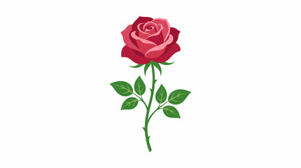 Fototapeta premium Elegant Red Rose: A single, beautifully rendered red rose stands tall with its stem and leaves, a symbol of love and passion, against a clean backdrop.