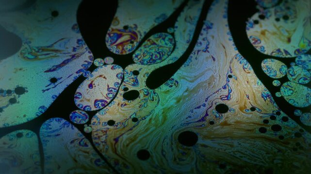 Gasoline fluid. Ink blend. Defocused orange blue color drop round texture chemical liquid floating on abstract dark black background.