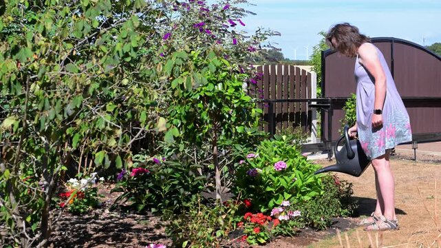 Handwatering the front garden.