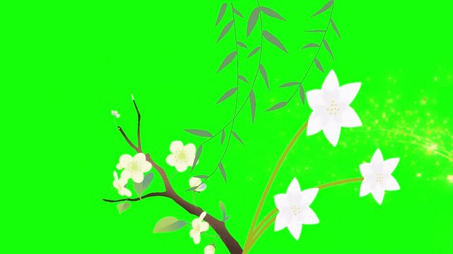 green screen vector flower tree branch leaves animation 