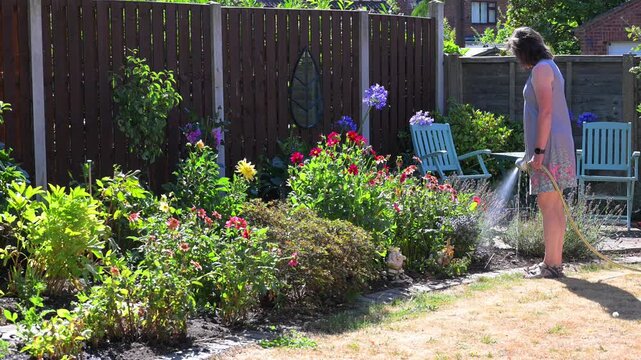 Watering the back garden.