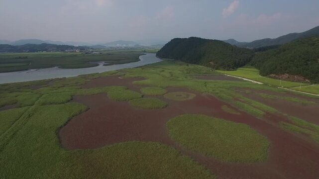 Korea Suncheonman Bay national garden UNESCO natural heritage wetland reed field coastal estuary nature landscape 순천만 순천만국가정원 유네스코 세계자연유산 습지 갈대밭 칠면초 갯벌 물길 자연경관 생태공원