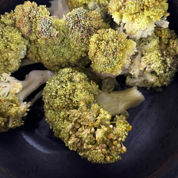 Close up of fresh broccoli florets on dark background