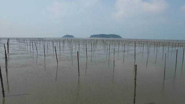 Korea Gochang tidal flat UNESCO World Heritage migratory birds sea experience fishing traditional fish trap Korea 고창 갯벌 유네스코 세계유산 철새 바다 갯벌체험 고기잡이 어업 어살 전통어법 수산물 해양