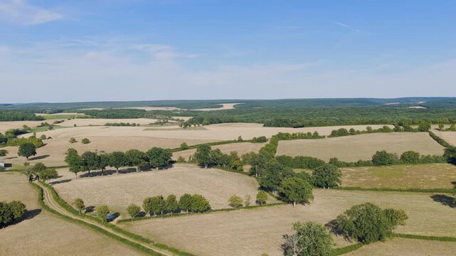 Aerial view of expansive agricultural fields and lush forests in the rural countryside near Cuncy-les-Varzy, Nievre, Bourgogne-Franche-Comte, France.