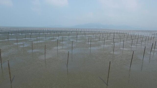 Korea Gochang tidal flat UNESCO World Heritage migratory birds sea experience fishing traditional fish trap Korea 고창 갯벌 유네스코 세계유산 철새 바다 갯벌체험 고기잡이 어업 어살 전통어법 수산물 해양