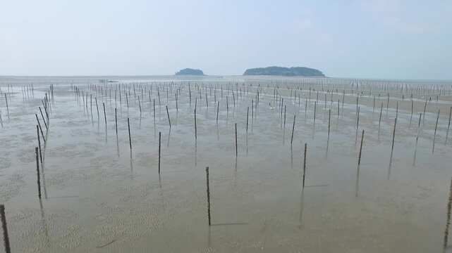 Korea Gochang tidal flat UNESCO World Heritage migratory birds sea experience fishing traditional fish trap Korea 고창 갯벌 유네스코 세계유산 철새 바다 갯벌체험 고기잡이 어업 어살 전통어법 수산물 해양