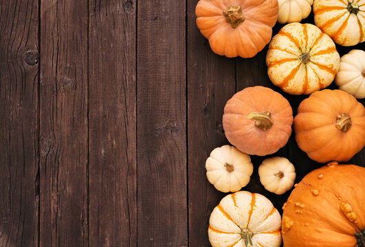 Autumn side border of a variety of pumpkins over a rustic dark wood background. Above view with copy space.