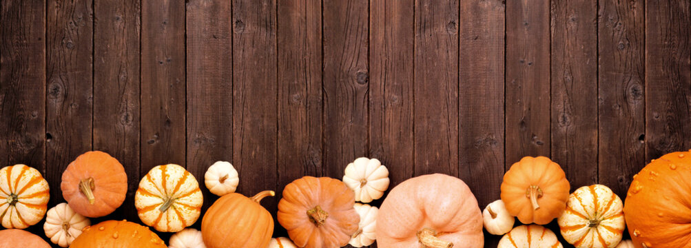 Autumn bottom border of assorted pumpkins over a rustic dark wood banner background. Top down view with copy space.