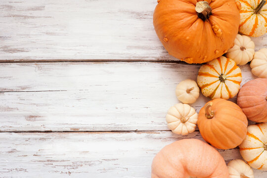 Fall side border of a variety of pumpkins over a white wood background. Top view with copy space.