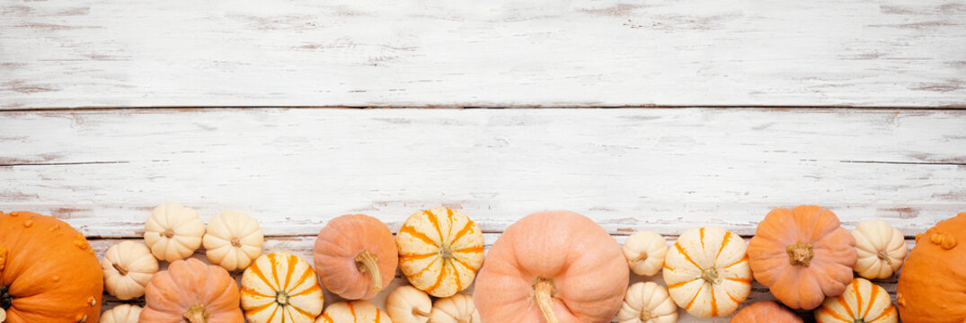 Autumn bottom border of assorted pumpkins over a white wood banner background. Top down view with copy space.