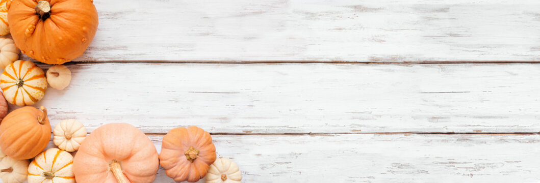 Autumn corner border of a variety of pumpkins over a white wood banner background. Above view with copy space.
