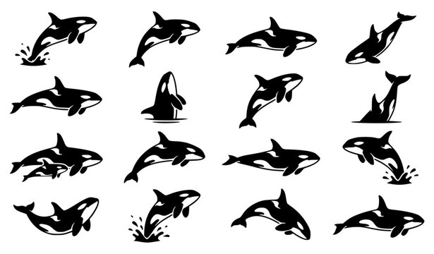 Orca Silhouette Set