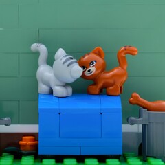 Fototapeta premium Tambov, Russian Federation - August 03, 2026 A close-up shot of Lego grey cat and ginger cat minifigures standing together on top of a blue crate