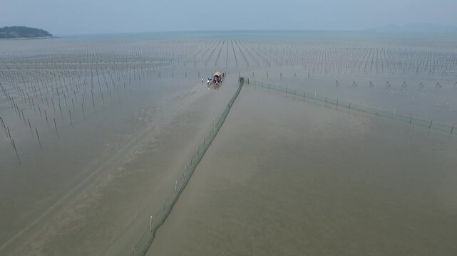 Korea Gochang tidal flat UNESCO World Heritage migratory birds sea experience fishing traditional fish trap Korea 고창 갯벌 유네스코 세계유산 철새 바다 갯벌체험 고기잡이 어업 어살 전통어법 수산물 해양