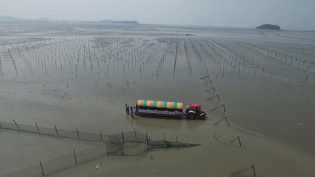 Korea Gochang tidal flat UNESCO World Heritage migratory birds sea experience fishing traditional fish trap Korea 고창 갯벌 유네스코 세계유산 철새 바다 갯벌체험 고기잡이 어업 어살 전통어법 수산물 해양