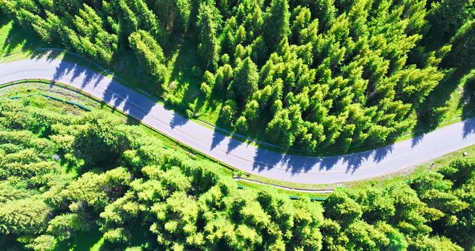 Top-down aerial view of a winding paved road curving through dense green forest, highlighting woodland infrastructure, summer foliage, and scenic outdoor travel potential.