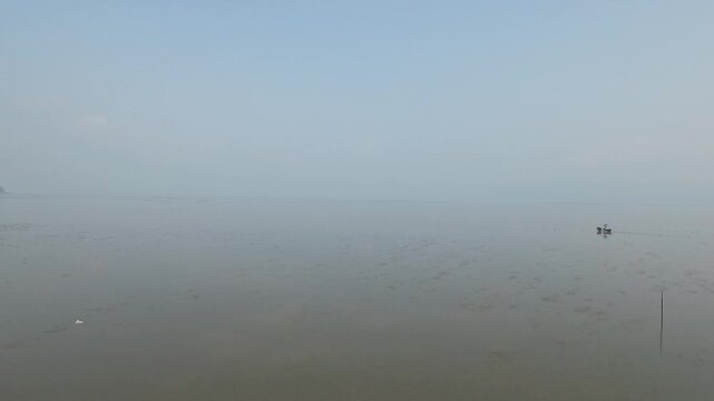 Korea Gochang tidal flat UNESCO World Heritage migratory birds sea experience fishing traditional fish trap Korea 고창 갯벌 유네스코 세계유산 철새 바다 갯벌체험 고기잡이 어업 어살 전통어법 수산물 해양
