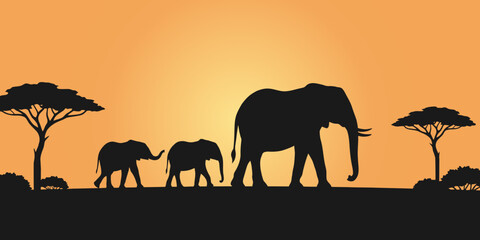 Fototapeta premium A beautiful silhouette of a family of elephants walking across the african savanna during a warm and vibrant golden sunset