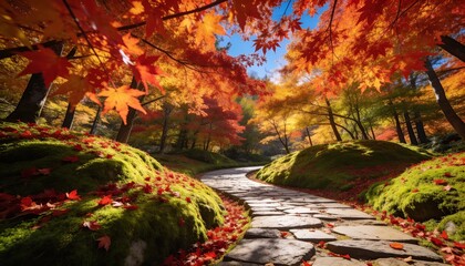 Fototapeta premium autumn garden, maple, stone path, red leaves, scenic trail, fall nature, mossy ground, bright landscape, serene forest, colorful trees, foliage background