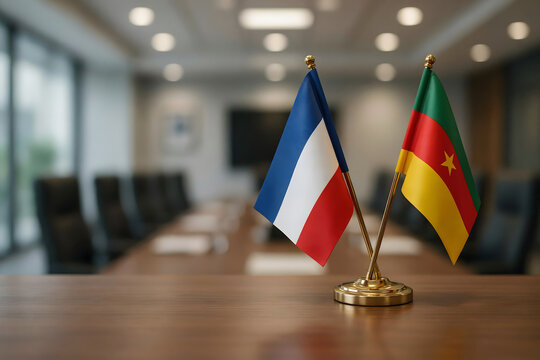 Two small desk flags of france and cameroon standing together on a wooden conference table in a blurred office meeting room interior background